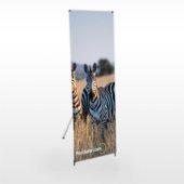 Banner with Stands