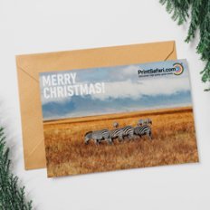Greeting Cards
