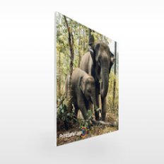 Rounded Rectangle