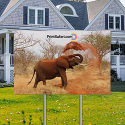 Yard Signs