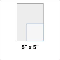 5" x 5"