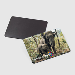 Business Card Magnets