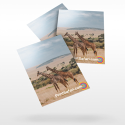 Business Flyers
