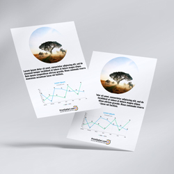Business Flyers