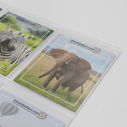 Collectors Cards