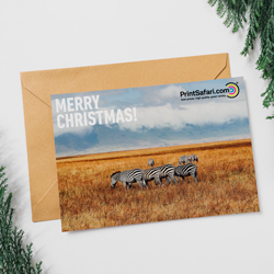 Greeting Cards