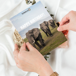 Greeting Cards