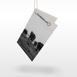 Folded Hang Tags