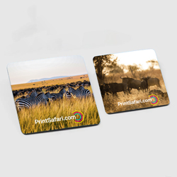Postcard Magnets