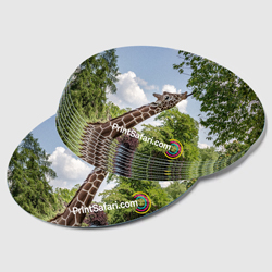 Half Circle