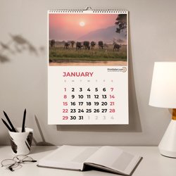 Wall Calendars Saddle-Stitched Picture 0