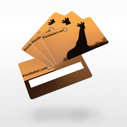 Plastic cards signature field Picture 2