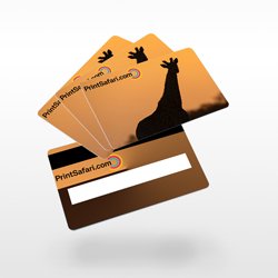 Plastic cards signature field & magnetic strip Picture 3