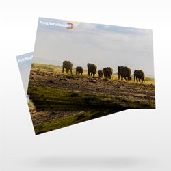 Placemat