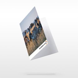 Folded Business Cards