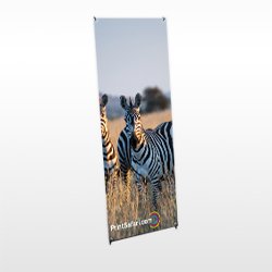 X Banner Stands Standard