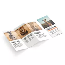 Brochures