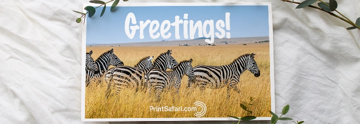 Greeting-Cards