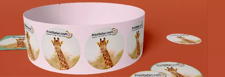 Intro