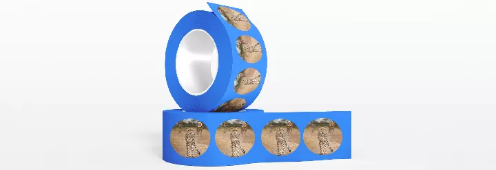 Intro