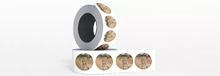 Intro