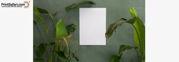 Intro