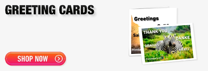 Order Now Banner