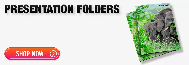 Order Now Banner