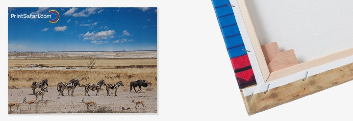 Photo-Prints