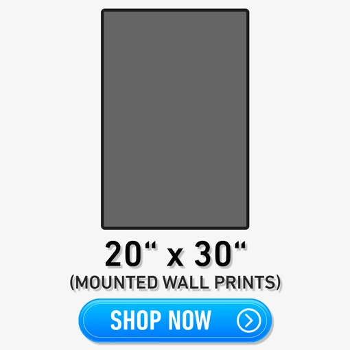 20x30