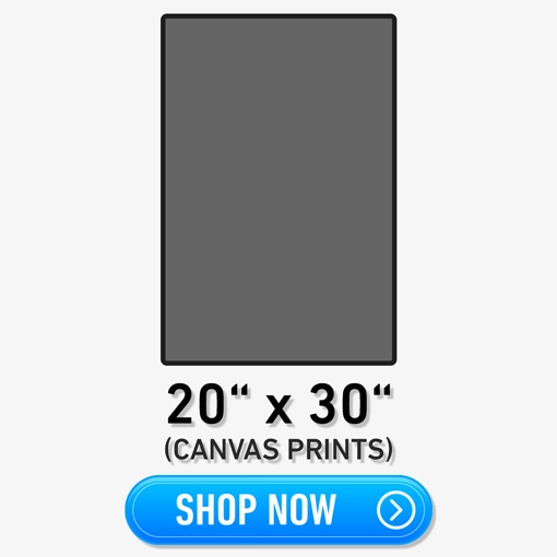20x30