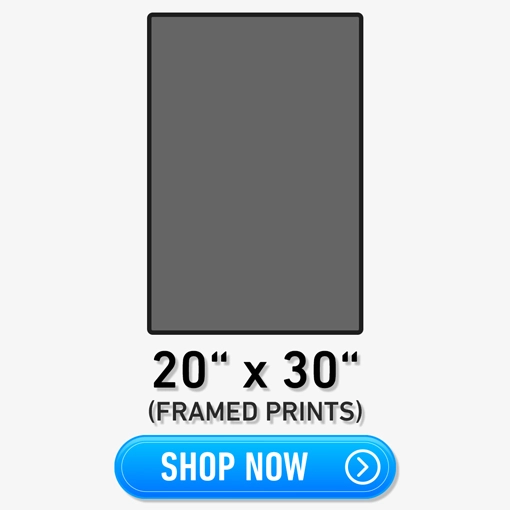 20x30