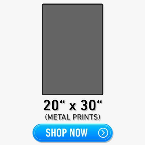 20x30
