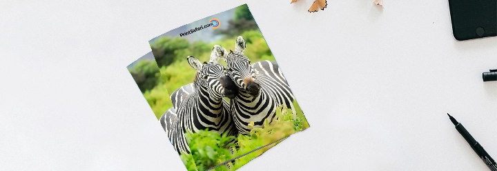 Presentation-Folders