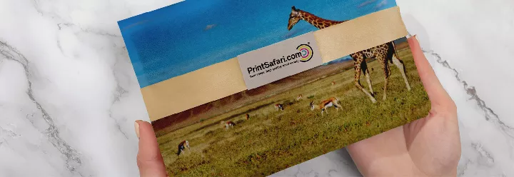 Intro