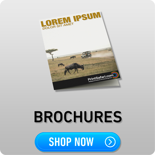 Kacheln Brochures