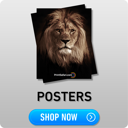 Kacheln Posters